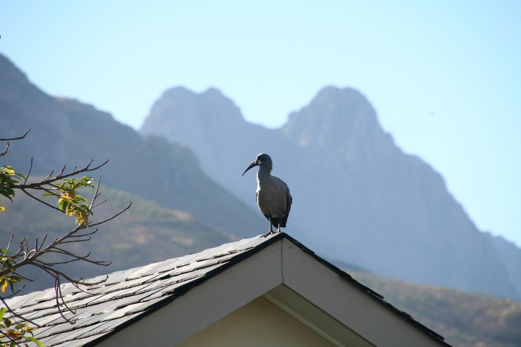 Keren'S Vine Guesthouse Municipalità locale di Municipalità locale di Stellenbosch Esterno foto
